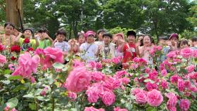 [영상] 봄과 여름 사이...대전 한밭수목원 꽃축제