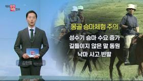 몽골에서 승마 체험 시 낙마 등 안전사고 주의