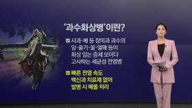 [뉴스NIGHT] '과수화상병' 확산 비상... '금 사과·금배' 더 오르나?