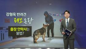 강형욱 '반려견 레오' 논란...출장 안락사는 불법? [앵커리포트]