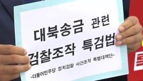민주당, '대북송금 檢 조작수사' 특검법 발의