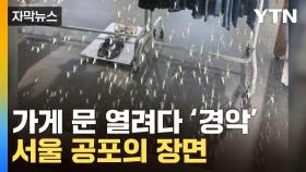 [자막뉴스] '우글우글' 서울 뒤덮었다...소름 끼치는 장면