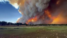 美 뉴멕시코주 산불 확산...주민 7천 명 대피 명령