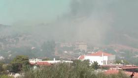 그리스 아테네, 폭염에 산불까지...주민 대피 등 비상