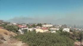 그리스 아테네 폭염에 산불까지...강풍 타고 빠르게 확산