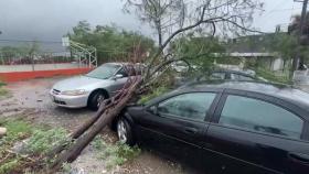 열대성 폭풍 '알베르토' 미국·멕시코 강타...