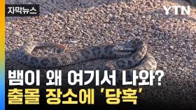 [자막뉴스] 집에도 한강에도 출몰하는 뱀...