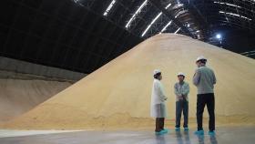 농식품부, 제당 업계에 설탕 가격 인하 협조 요청