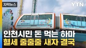 [자막뉴스] 매년 60억 원 '혈세 낭비'...월미바다열차 특단의 대책
