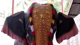 힌두교 사원에 등장한 로봇 코끼리 [앵커리포트]