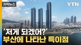 [자막뉴스] 부산에 전국 최다 집결...유독 특이한 현상