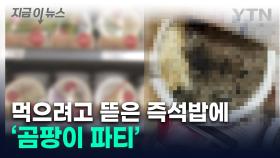 뚜껑 까자마자 '검정테러'...'곰팡이'로 뒤덮인 즉석밥 [지금이뉴스]