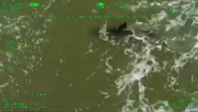 미국 텍사스주 해변에서 상어 공격으로 2명 부상