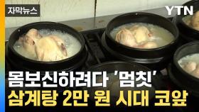 [자막뉴스] 몸보신하려다 '멈칫'... 생닭값 하락인데 삼계탕은 또 올라