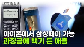 아이폰에서 '삼성페이' 가능해진다...애플, EU 압박에 '항복' [지금이뉴스]