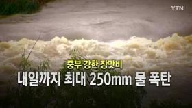 [영상] 중부 최대 250mm 이상