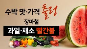 비에 수박 맛도 가격도 '출렁'...장마철 과일·채소 빨간불 [앵커리포트]