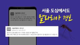 서울 도심에서도 '말라리아 경보'... 