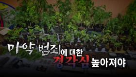 [영상] '직접 재배' 대마 판매 적발...일반인마저 판매상으로?