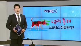 [건강PICK] '스트레스 냄새' 맡은 반려견, 학습 속도 떨어져