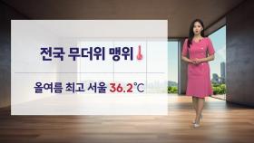 올여름 최고 서울 36.2℃...찜통 더위 당분간 계속