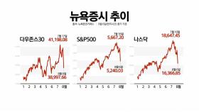 [스타트경제] '롤러코스터' 증시...'일시 발작 vs 위기 전조' 의견 분분