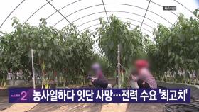 [YTN 실시간뉴스] 농사일하다 잇단 사망...전력 수요 '최고치'