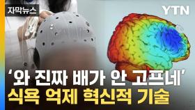 [자막뉴스] 자극 주자 식욕이 뚝...국내 연구진이 밝혀낸 '비만 치료' 열쇠