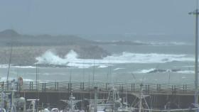 [날씨] 제9호 태풍 종다리, 제주도 서쪽 해상 통과 중...곳곳 강한 비바람