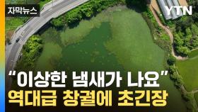 [자막뉴스] '살인 폭염'에 속수무책 확산 ...정부도 