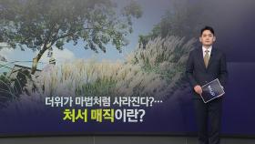 더위가 마법처럼 사라진다?...'처서 매직'이란? [앵커리포트]