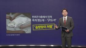 반려견 9층에서 던져 죽게 했는데 '집행유예'... 