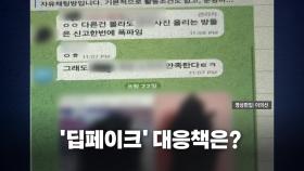 [영상] '사진 합성 음란물' 확산...대책 마련에 '분주'