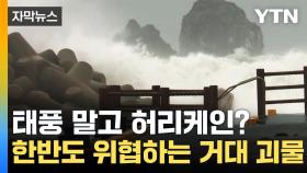 [자막뉴스] 태풍도 모자라 허리케인까지? 한반도 위협하는 거대 괴물