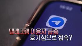 텔레그램 이용자, '딥페이크 논란' 이후 되레 급증 [앵커리포트]