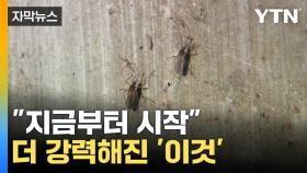 [자막뉴스] 날씨 선선해지니 기승부리는 '이것'...찜통더위 다음은?