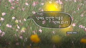 [영상] 하늘은 가을인데 계속되는 늦더위
