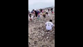 중국 하이난 태풍 복구 한창인데...야자·조개 줍기 삼매경