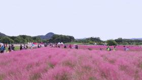 경기 북부 중심도시 양주...K-의료·스포츠·관광 메카 도약 기대