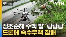 [자막뉴스] 드론 앞에 속수무책 전멸...말벌 잡는 혁신적 기술