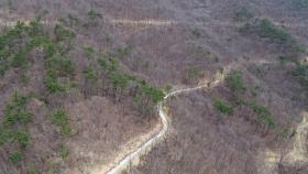 '축구장 20개' 면적 훼손했는데...처벌은 '솜방망이'