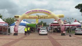 [경기] 이천 '햇사레 장호원 복숭아 축제' 개막...22일까지