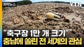 [자막뉴스] 멸종 위기종의 낙원...대한민국에 존재하는 미지의 장소