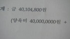 양육비 안 주고 버티면 된다?...이제 '신속 제재'