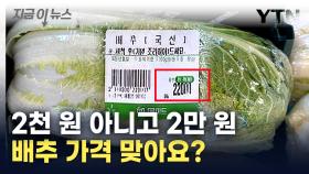 두 눈을 의심한 가격...2만 원 넘는 배추에 서민들 '비명' [지금이뉴스]