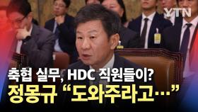 축구협회 실무를 HDC 직원들이? 정몽규 회장 