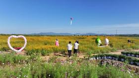 농경 문화와 가을 정취 즐겨요...김제 지평선 축제