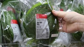 [경제PICK] 깻잎 한 장에 100원?...체감 안 되는 1%대 물가