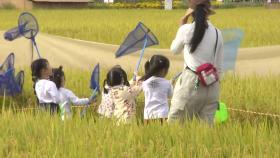 김제 지평선 축제에서 가을 정취와 농경문화 즐겨요