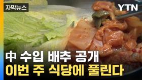 [자막뉴스] '배추 대란' 끝나나...품질 검사 후 중국산 배추 공급 시작